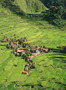 the philippines - batad rice terraces 3.jpg